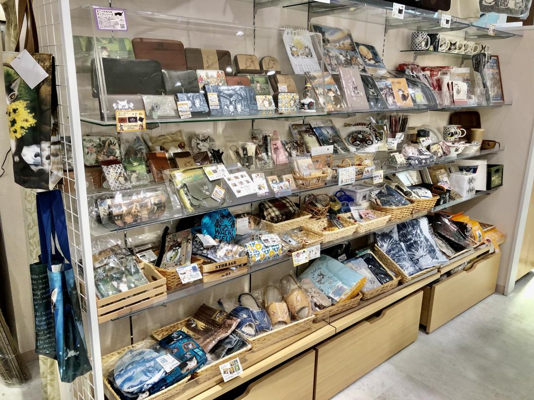 猫好き必見(=^・^=)